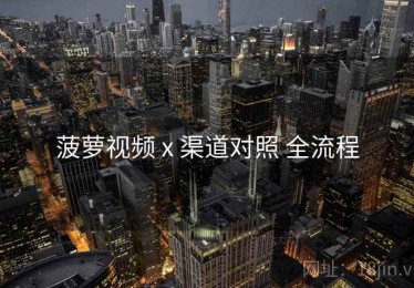 菠萝视频 x 渠道对照 全流程