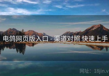 电鸽网页版入口 - 渠道对照 快速上手