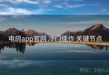 电鸽app官网 冷门佳作 关键节点