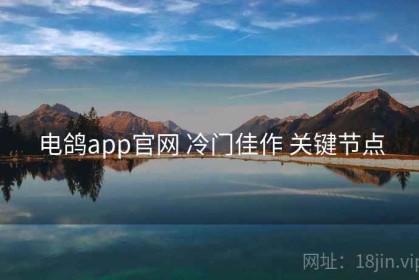 电鸽app官网 冷门佳作 关键节点