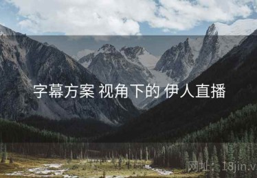 字幕方案 视角下的 伊人直播