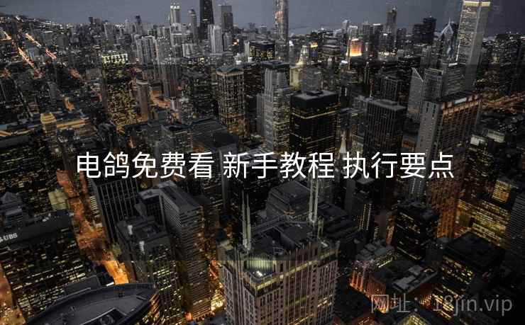 电鸽免费看 新手教程 执行要点