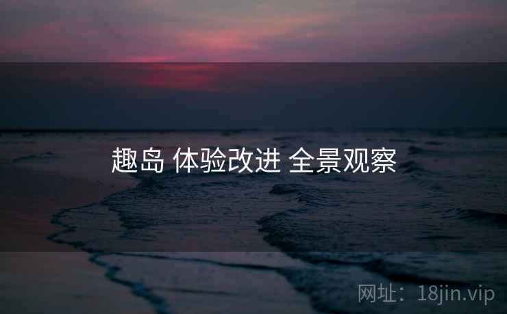 趣岛 体验改进 全景观察
