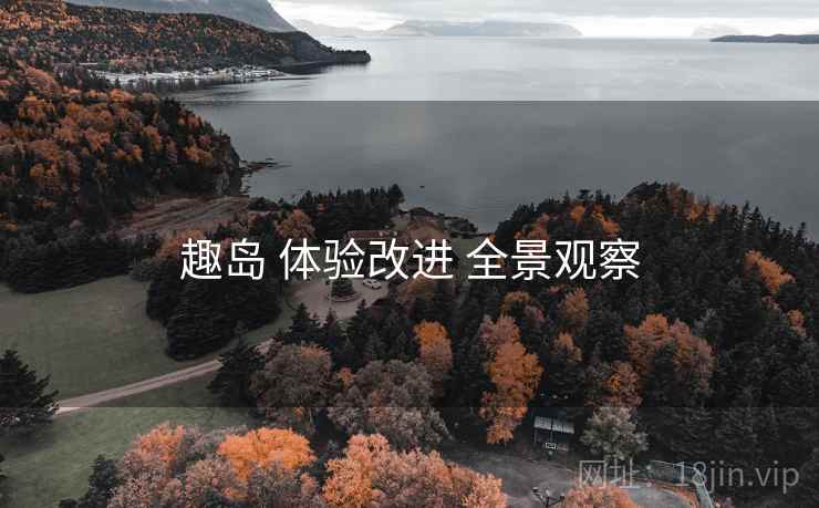 趣岛 体验改进 全景观察