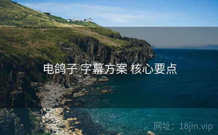 电鸽子 字幕方案 核心要点