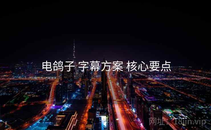 电鸽子 字幕方案 核心要点