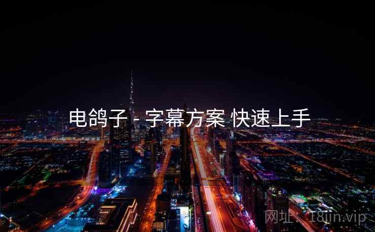 电鸽子 - 字幕方案 快速上手
