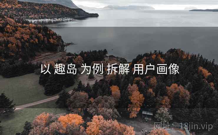 以 趣岛 为例 拆解 用户画像