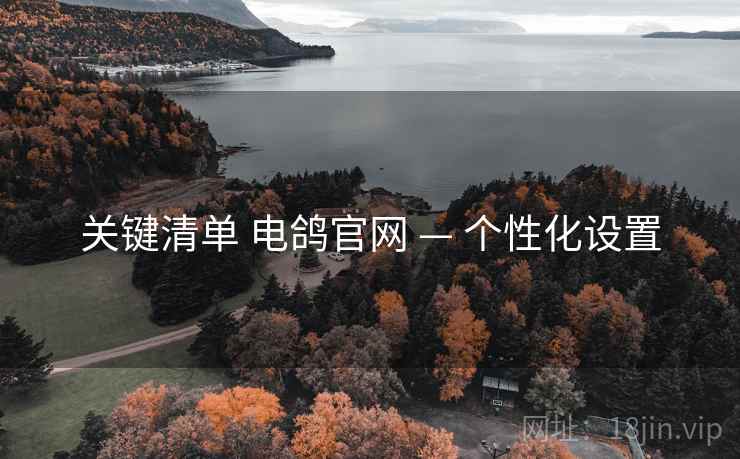 关键清单 电鸽官网 — 个性化设置
