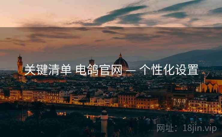 关键清单 电鸽官网 — 个性化设置