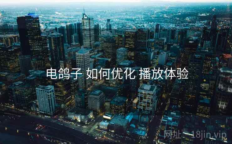 电鸽子 如何优化 播放体验