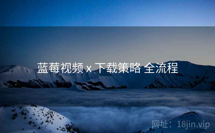 蓝莓视频 x 下载策略 全流程