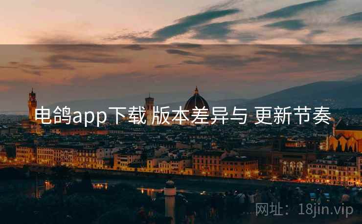 电鸽app下载 版本差异与 更新节奏