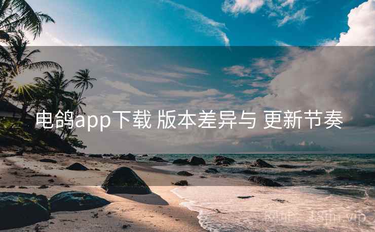 电鸽app下载 版本差异与 更新节奏