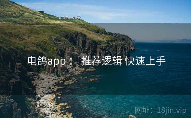 电鸽app ： 推荐逻辑 快速上手