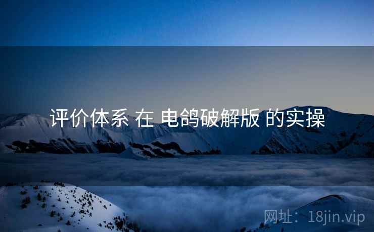 评价体系 在 电鸽破解版 的实操