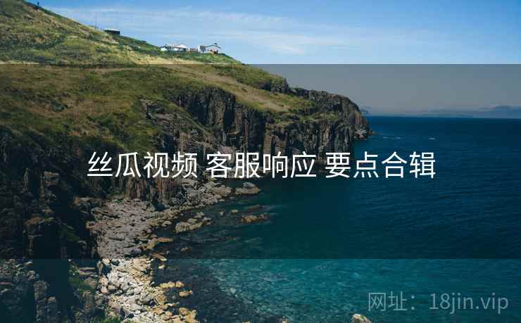 丝瓜视频 客服响应 要点合辑