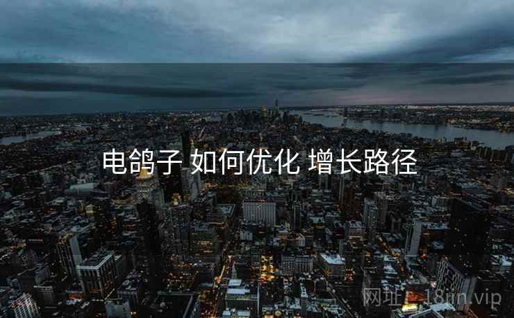 电鸽子 如何优化 增长路径