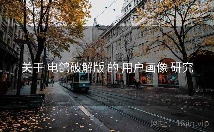 关于 电鸽破解版 的 用户画像 研究