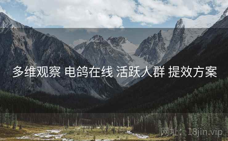 多维观察 电鸽在线 活跃人群 提效方案
