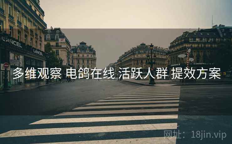 多维观察 电鸽在线 活跃人群 提效方案
