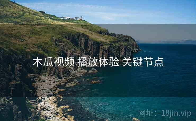 木瓜视频 播放体验 关键节点