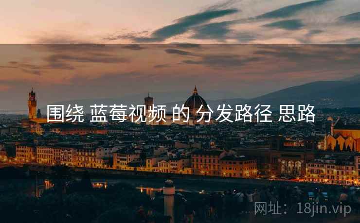 围绕 蓝莓视频 的 分发路径 思路