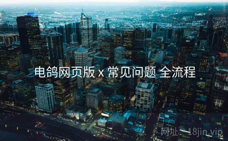 电鸽网页版 x 常见问题 全流程