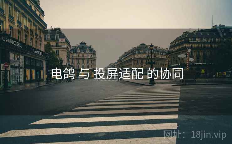电鸽 与 投屏适配 的协同