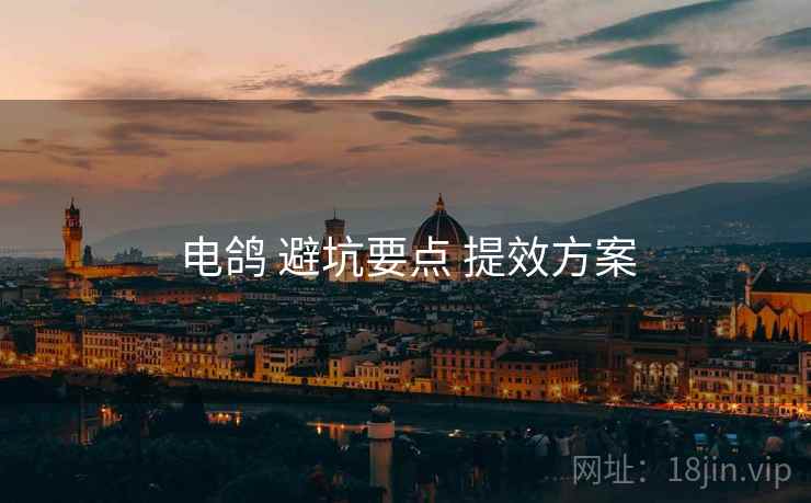 电鸽 避坑要点 提效方案
