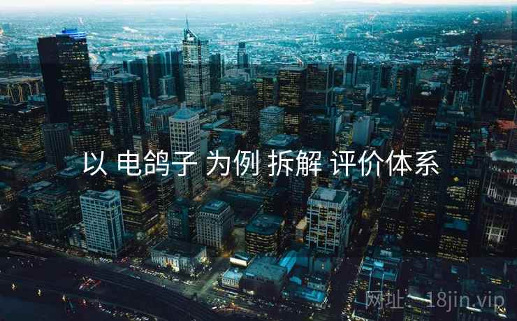 以 电鸽子 为例 拆解 评价体系