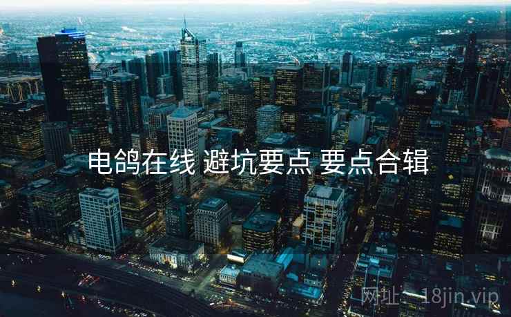 电鸽在线 避坑要点 要点合辑