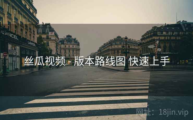 丝瓜视频 - 版本路线图 快速上手