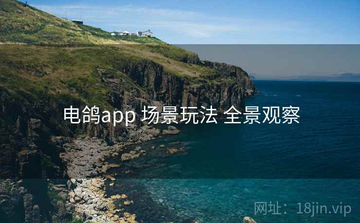 电鸽app 场景玩法 全景观察