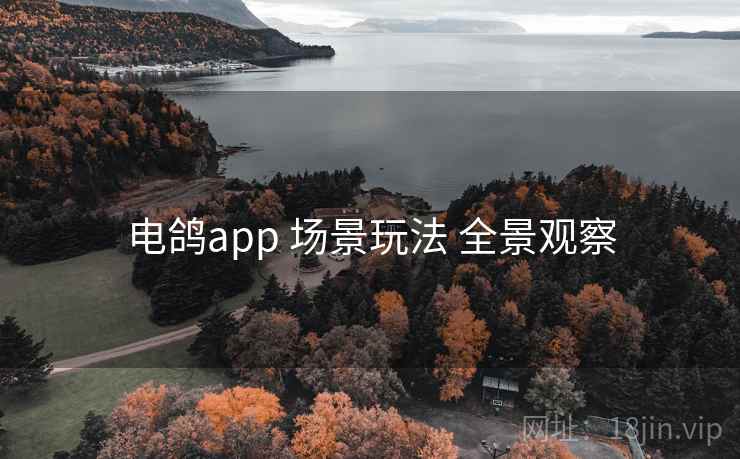 电鸽app 场景玩法 全景观察