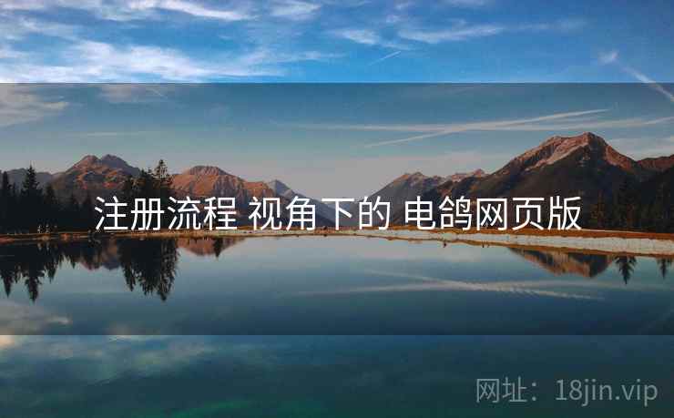 注册流程 视角下的 电鸽网页版