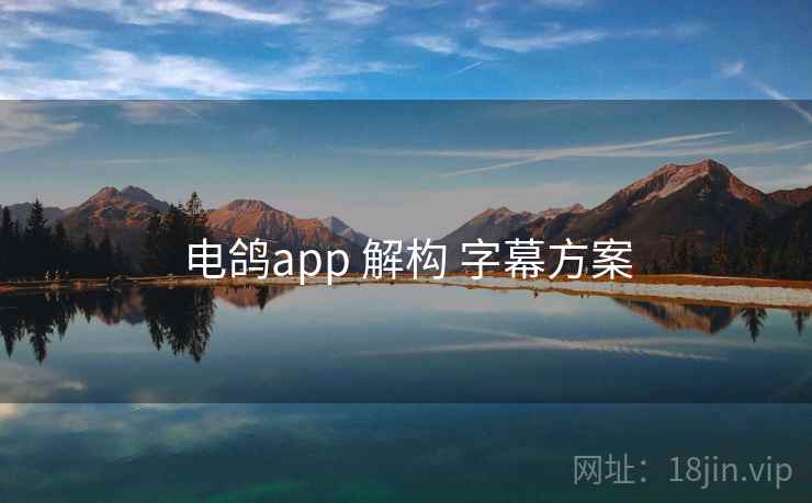 电鸽app 解构 字幕方案