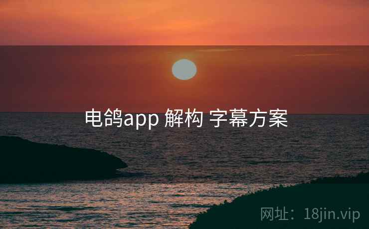 电鸽app 解构 字幕方案