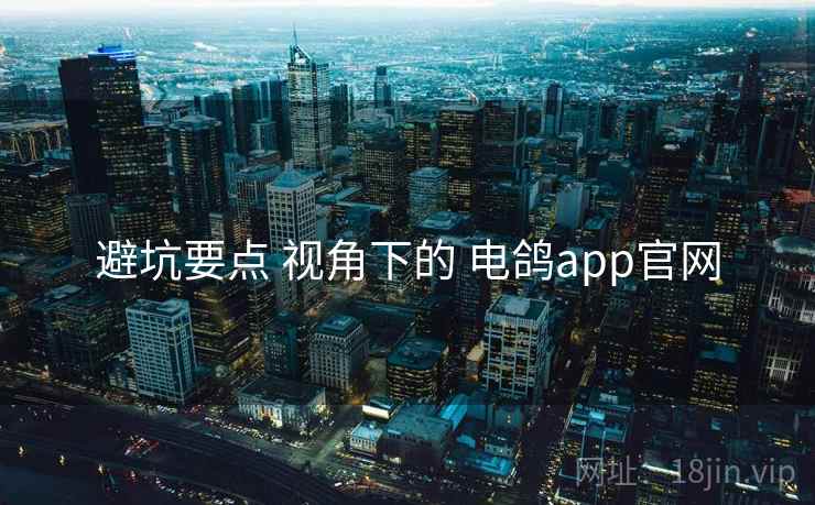 避坑要点 视角下的 电鸽app官网