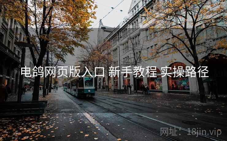 电鸽网页版入口 新手教程 实操路径