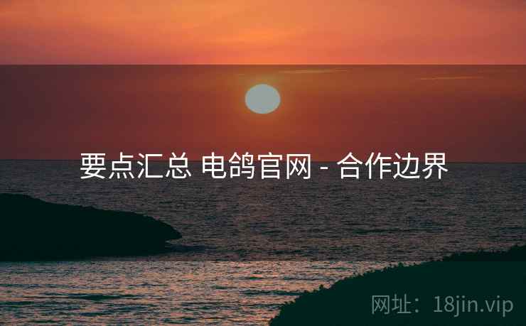 要点汇总 电鸽官网 - 合作边界