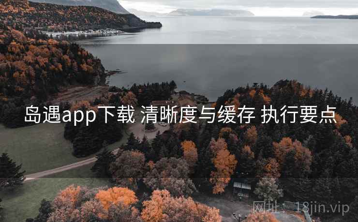 岛遇app下载 清晰度与缓存 执行要点