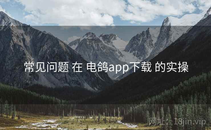 常见问题 在 电鸽app下载 的实操